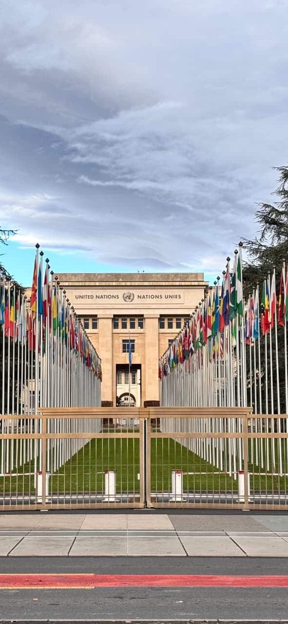 WhatsApp Image 2025-12-12 at 15.52.31